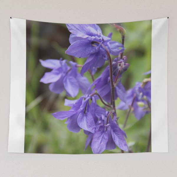 Item preview, Colorful pastel columbine granny's bonnet spring wildflowers	 designed and sold by EstelleRossetti.