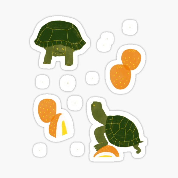 Turts Sticker