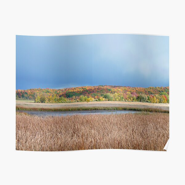 Fall in NW Michigan Poster