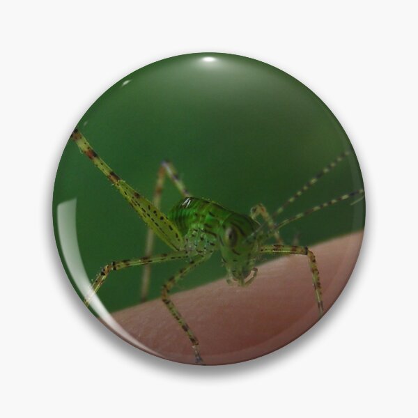 Item preview, Me & Young Katydid designed and sold by elasita.