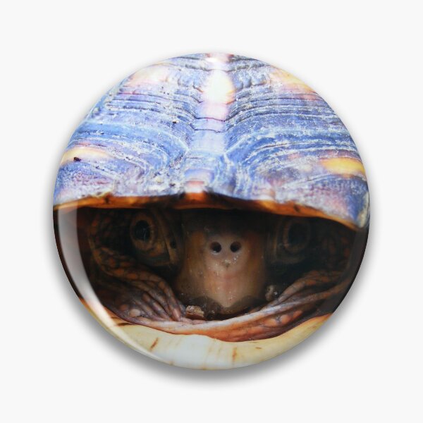 Item preview, Box Turtle designed and sold by elasita.