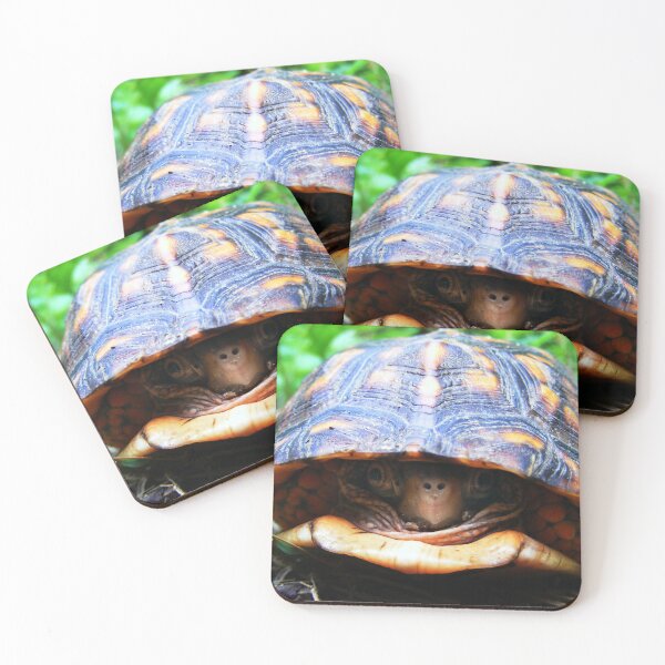 Item preview, Box Turtle designed and sold by elasita.