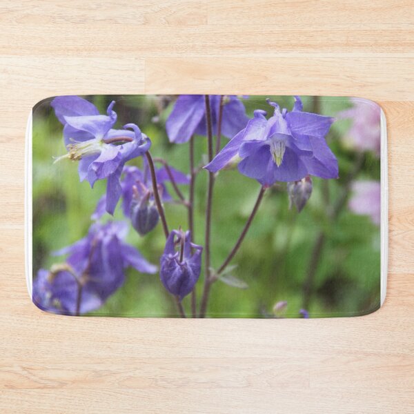 Item preview, Colorful pastel columbine granny's bonnet spring wildflowers	 designed and sold by EstelleRossetti.