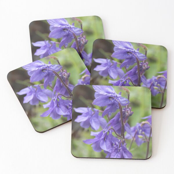 Item preview, Colorful pastel columbine granny's bonnet spring wildflowers	 designed and sold by EstelleRossetti.