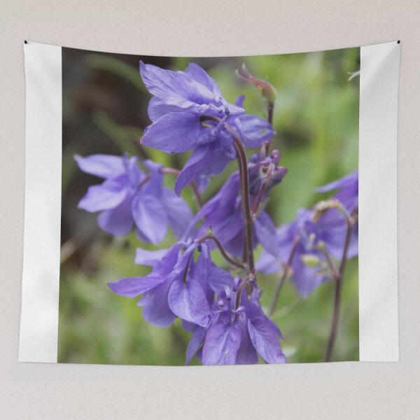 Item preview, Colorful pastel columbine granny's bonnet spring wildflowers	 designed and sold by EstelleRossetti.