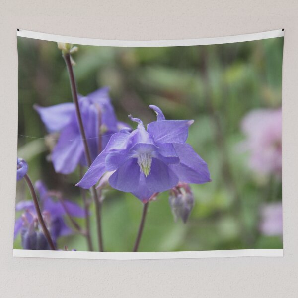 Item preview, Colorful pastel columbine granny's bonnet spring wildflowers	 designed and sold by EstelleRossetti.
