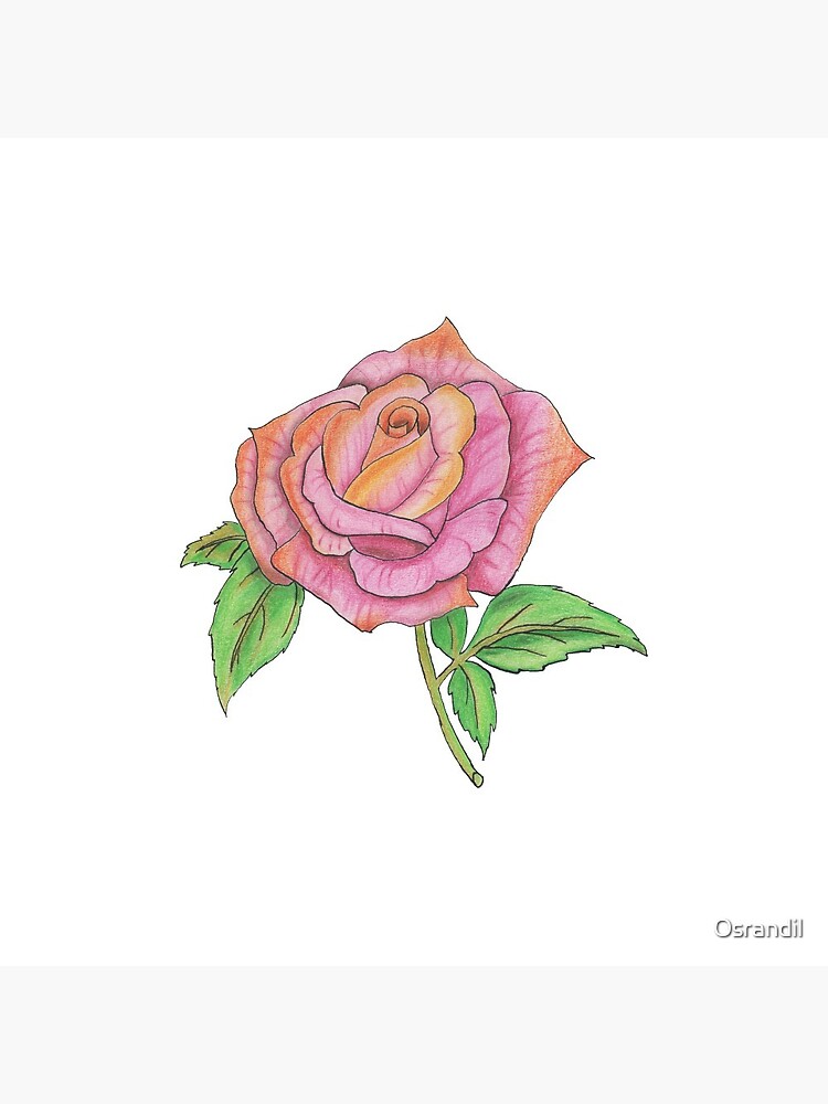Colorful Rose by Osrandil