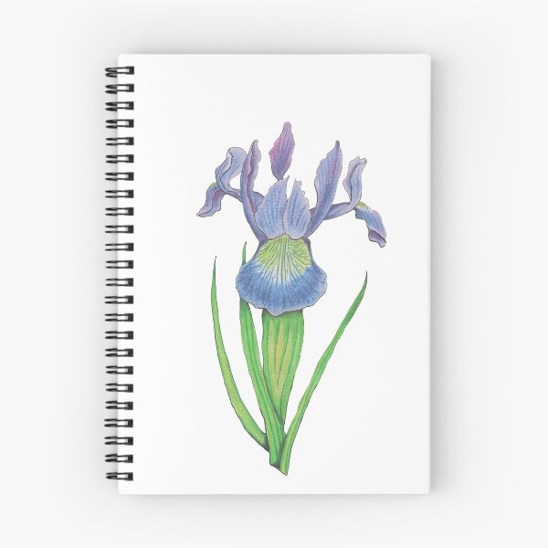 Item preview, Iris versicolor designed and sold by Osrandil.