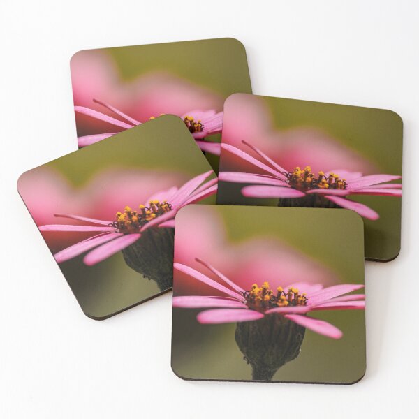Item preview, Macro/Close up pink flower  designed and sold by ChloePorter17.