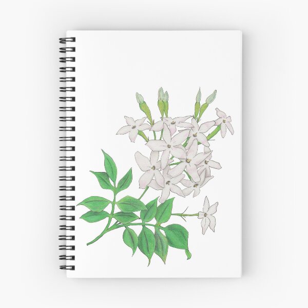 Item preview, Jasmine (Jasminum officinale) designed and sold by Osrandil.
