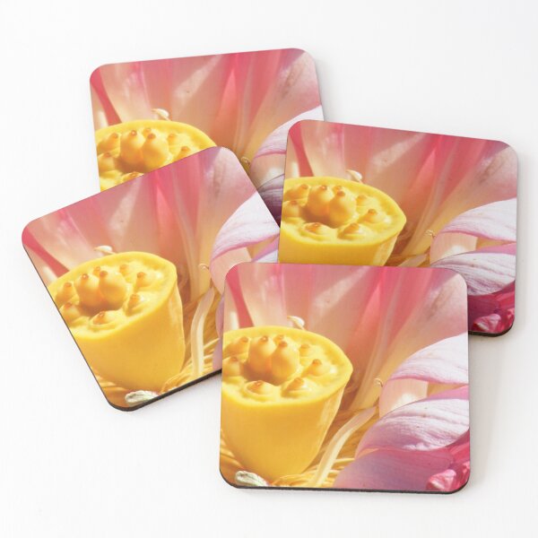 Item preview, Lotus designed and sold by elasita.