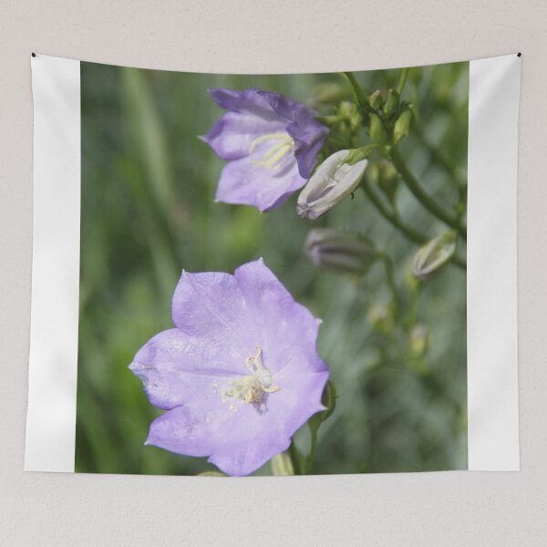 Item preview, Purple violet Campanula open spring wild flower	 designed and sold by EstelleRossetti.