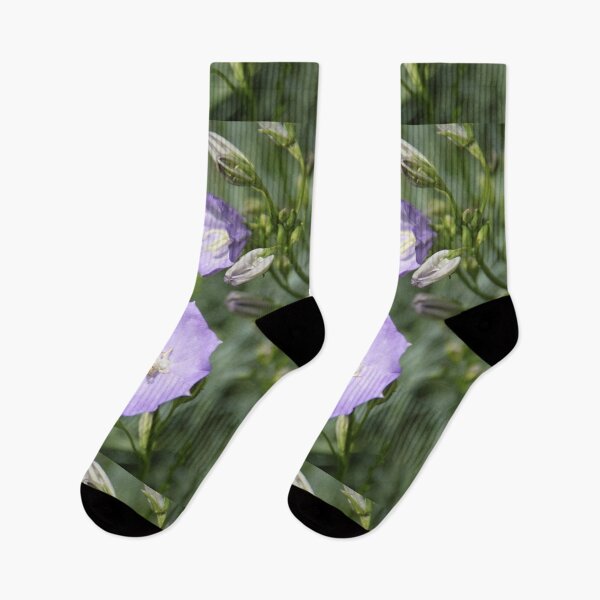 Item preview, Purple violet Campanula open spring wild flower	 designed and sold by EstelleRossetti.