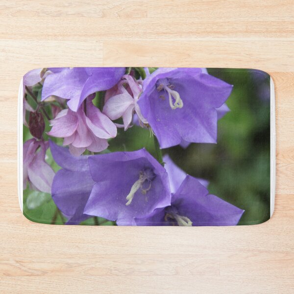 Item preview, Purple violet Campanula open spring wild flower	 designed and sold by EstelleRossetti.