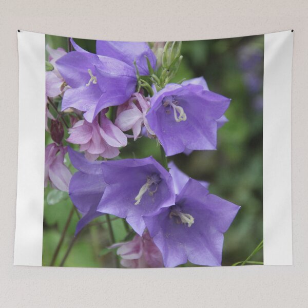 Item preview, Purple violet Campanula open spring wild flower	 designed and sold by EstelleRossetti.