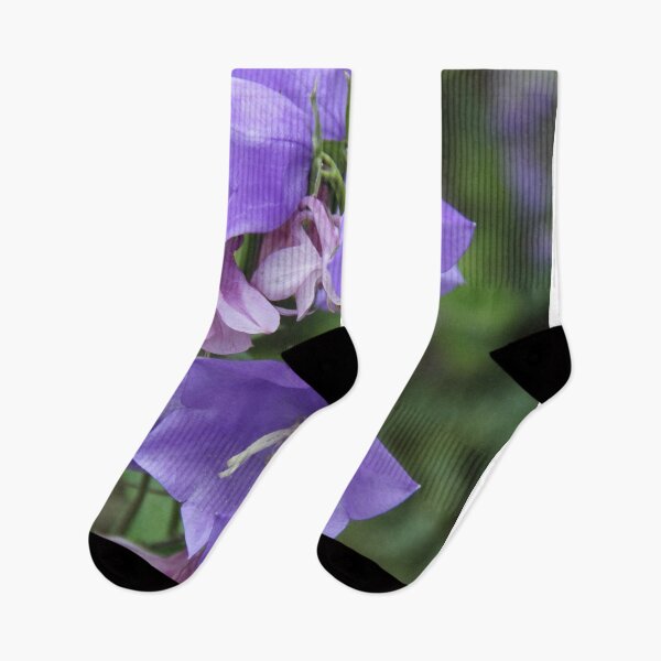Item preview, Purple violet Campanula open spring wild flower	 designed and sold by EstelleRossetti.