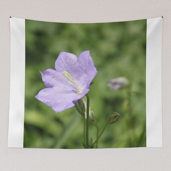 Item preview, Purple violet Campanula open spring wild flower	 designed and sold by EstelleRossetti.