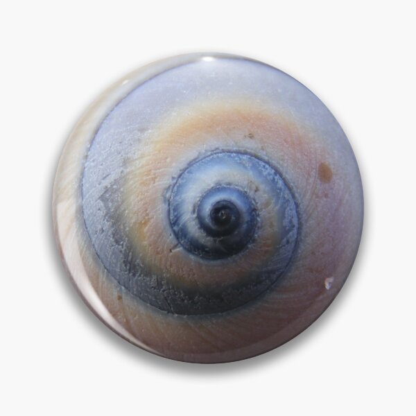 Item preview, Seashell macro designed and sold by elasita.