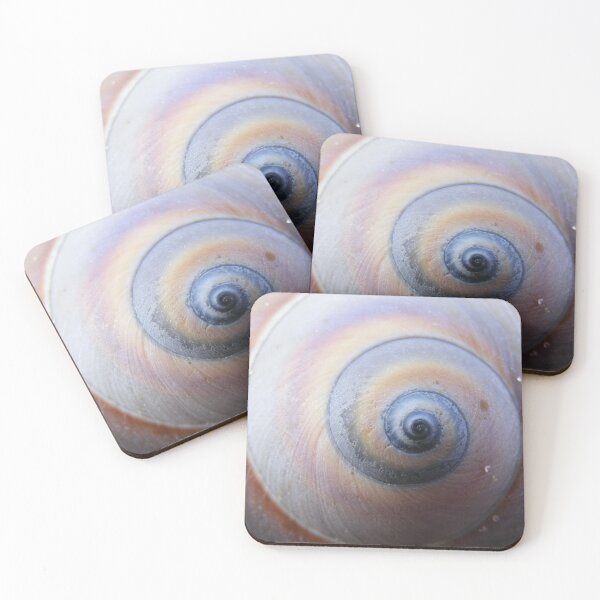 Item preview, Seashell macro designed and sold by elasita.