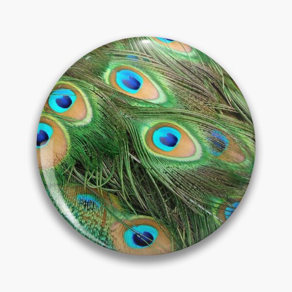 Item preview, Peacock Tail Feathers London, England designed and sold by HilaryLeslie.