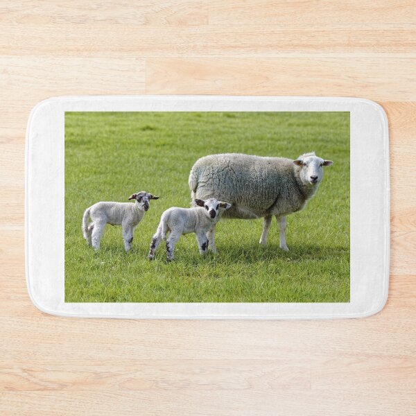 Item preview, A ewe and her young lambs designed and sold by Andy Harker.