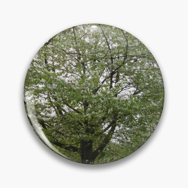 Item preview, Hyde Park, London designed and sold by HilaryLeslie.