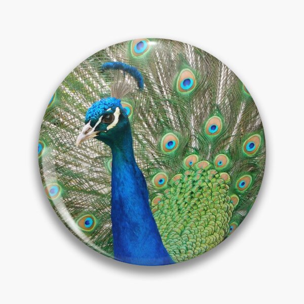 Item preview, Peacock Close Up, London designed and sold by HilaryLeslie.