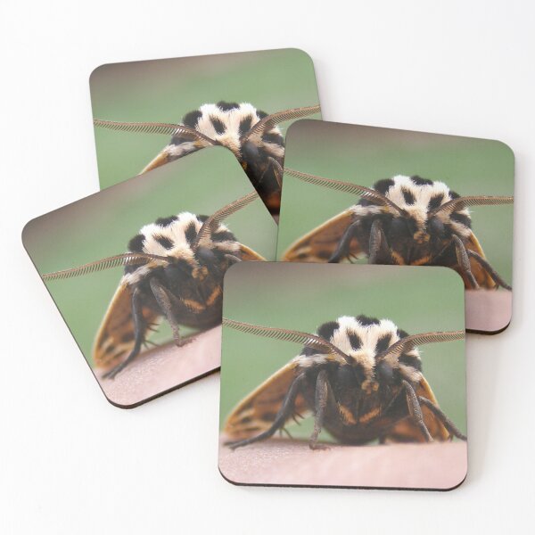 Item preview, Tiger Moth designed and sold by elasita.