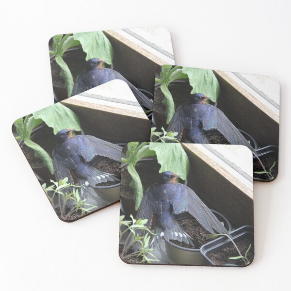 Item preview, Swallow bird in a house during springtime	 designed and sold by EstelleRossetti.