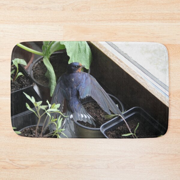 Item preview, Swallow bird in a house during springtime	 designed and sold by EstelleRossetti.
