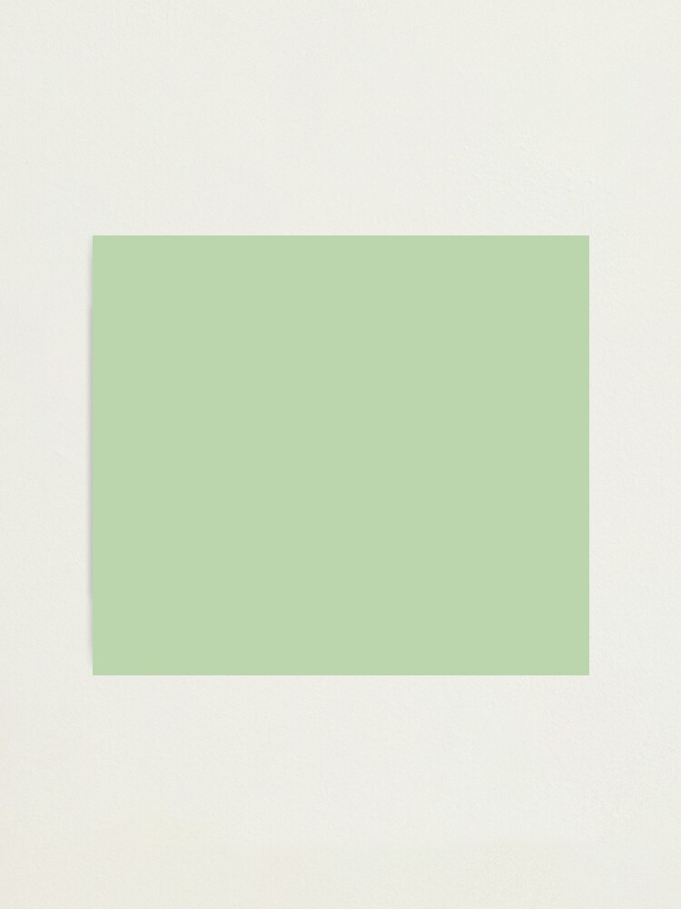 Plain-Pastel Green