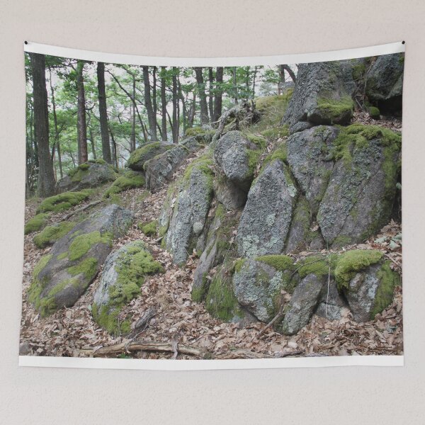 Item preview, Mystical forest rocks boulders roots	 designed and sold by EstelleRossetti.