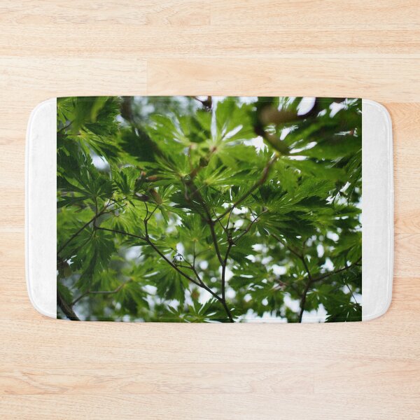 Item preview, Light through the maple leaves designed and sold by santoshputhran.