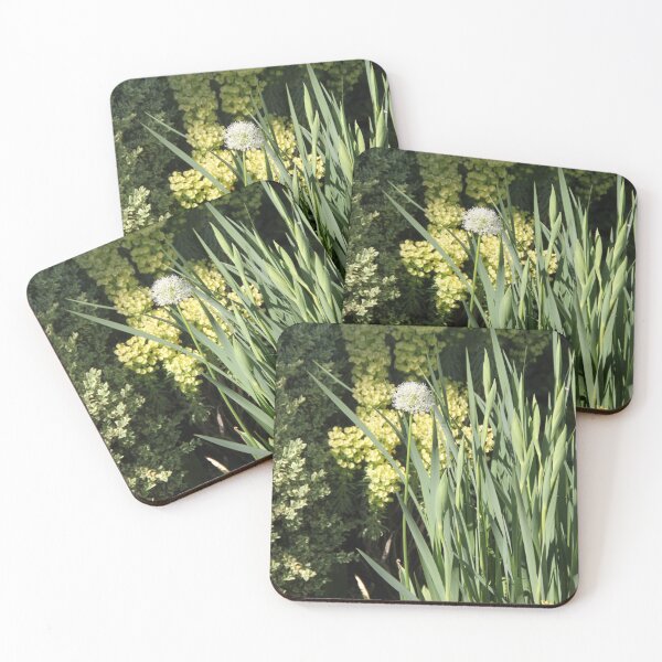 Item preview, Spiced garlic and variegated boxwood designed and sold by EstelleRossetti.