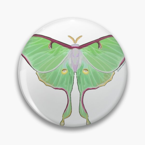 Item preview, Luna Moth digital drawing designed and sold by BeckSketches.