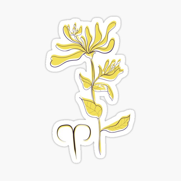 "Aries Honeysuckle Zodiac Sign Astrological Symbolism Star Sign