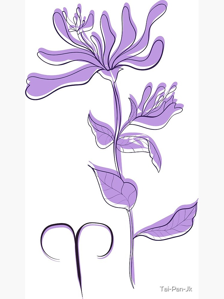 "Aries Honeysuckle Zodiac Sign Astrological Symbolism Star Sign