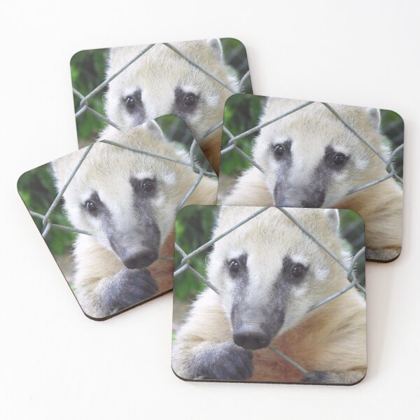 Item preview, Coati designed and sold by CallumHoare.