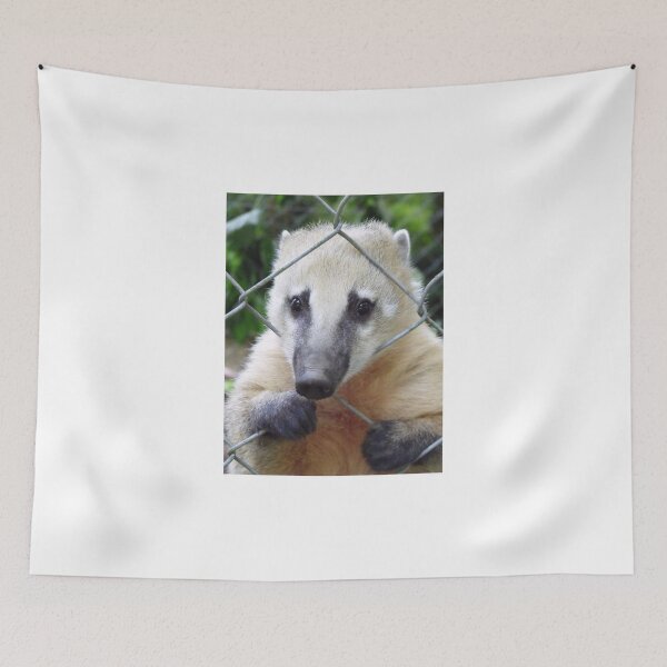 Item preview, Coati designed and sold by CallumHoare.