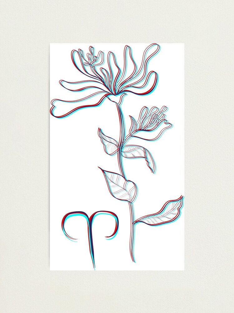 "Aries Honeysuckle Zodiac Sign Astrological Symbolism Star Sign
