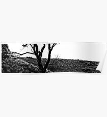 BW Landscape Poster