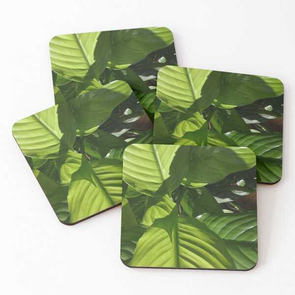 Item preview, Tropical Jungle Green Leaves Photo designed and sold by Cameraflower.