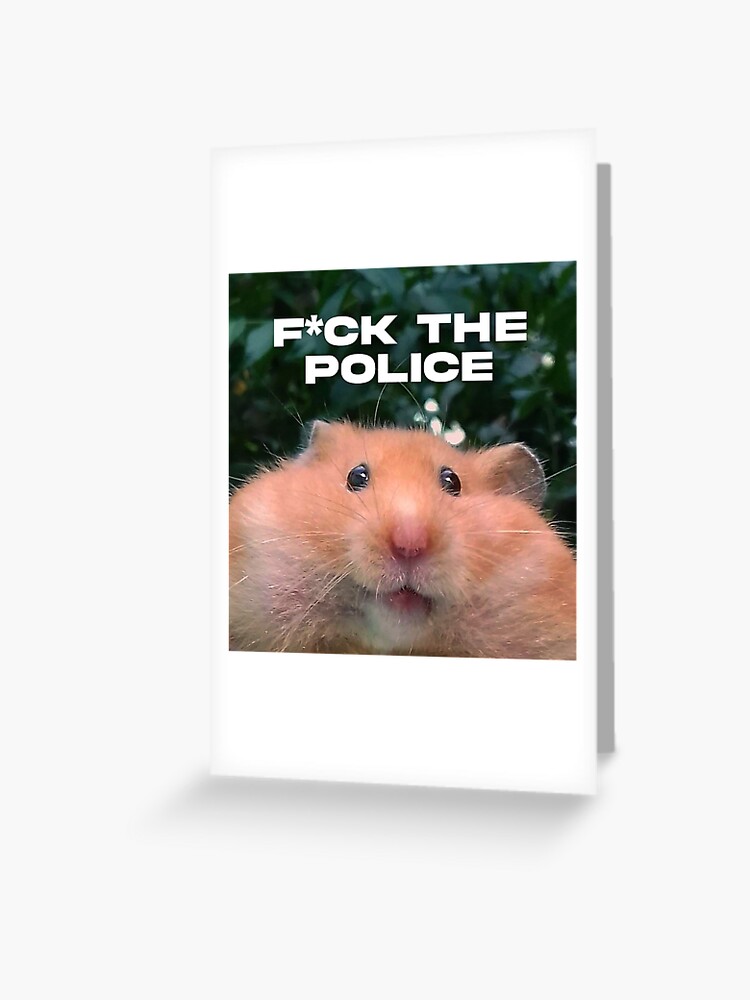 Funny Hamster Meme Funny Hamster Meme