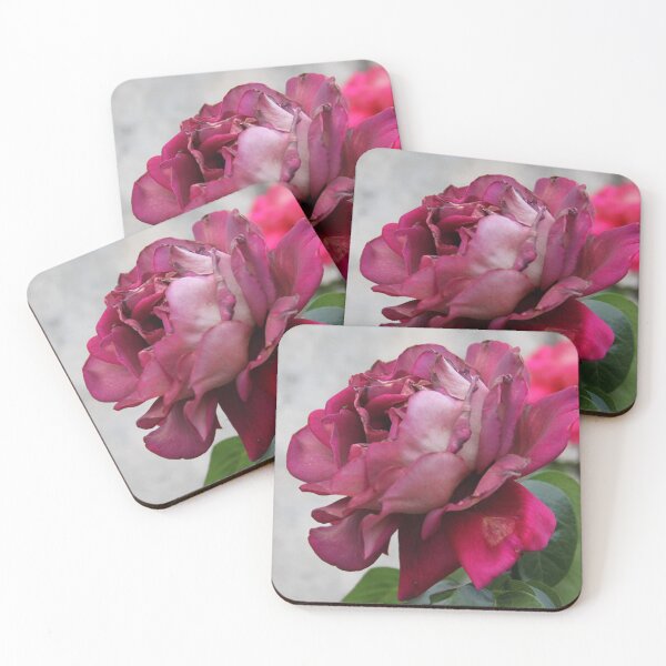 Item preview, Giant pink rose blossom fall romantic flower designed and sold by EstelleRossetti.