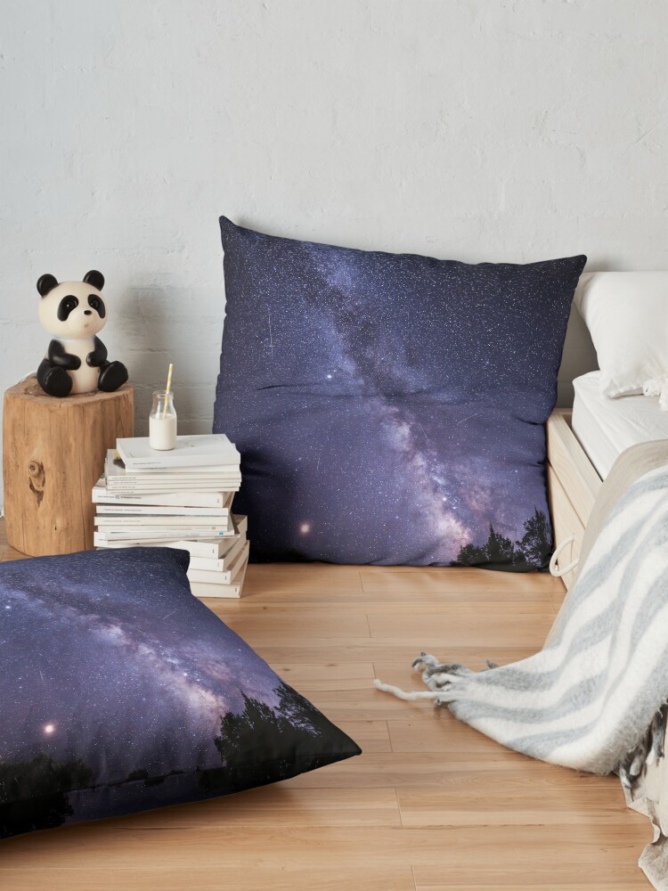 Alternate view of Perseid Meteor Shower and the Milky Way Floor Pillow