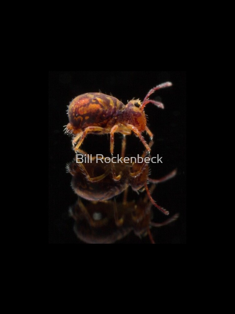 Thumbnail 4 of 4, Samsung Galaxy Phone Case, Springtails designed and sold by RockingLaurie.
