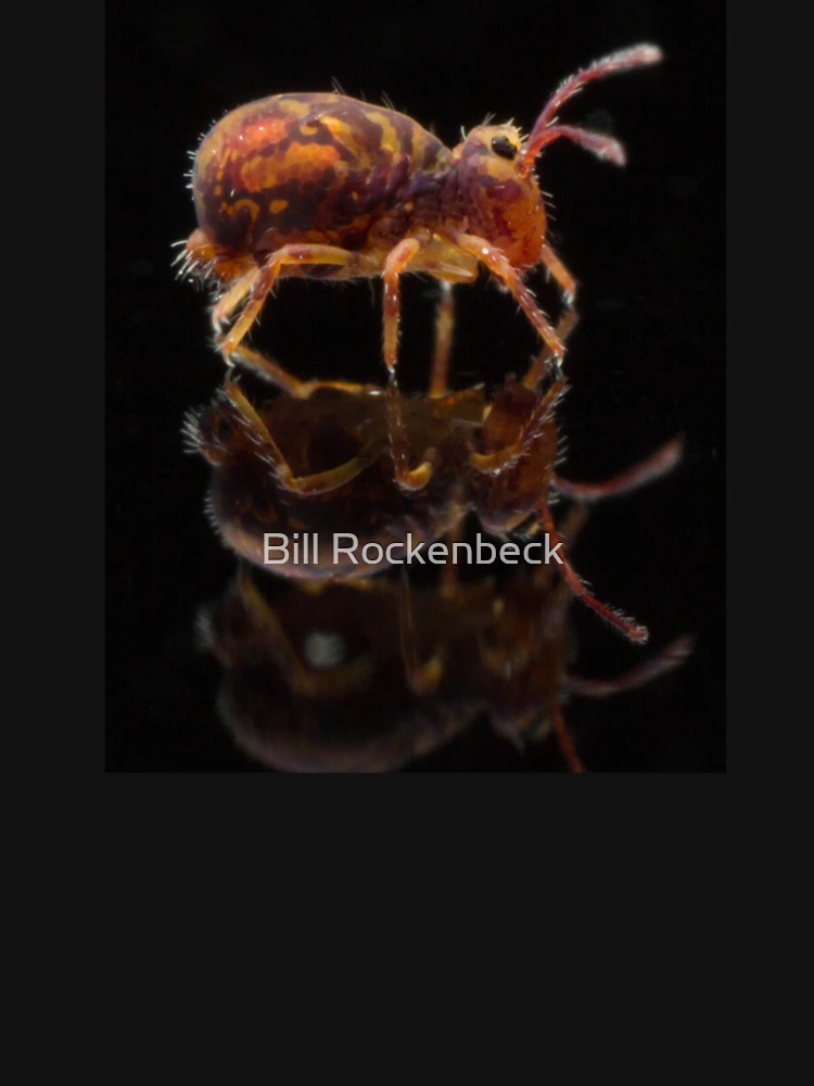 Thumbnail 6 of 6, Premium Oversized Hoodie, Springtails designed and sold by Bill Rockenbeck.