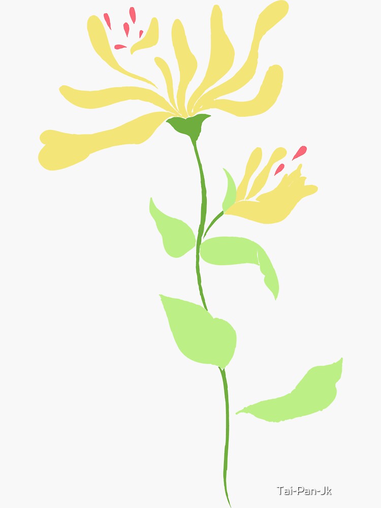 "Aries Honeysuckle Zodiac Sign Astrological Symbolism Star Sign