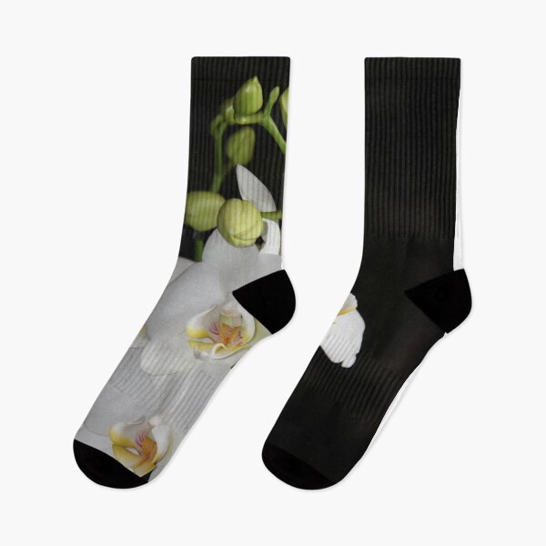 Item preview, White orchid bud open flower designed and sold by EstelleRossetti.