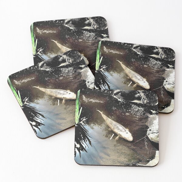 Item preview, Fishpond designed and sold by IBMClothing.